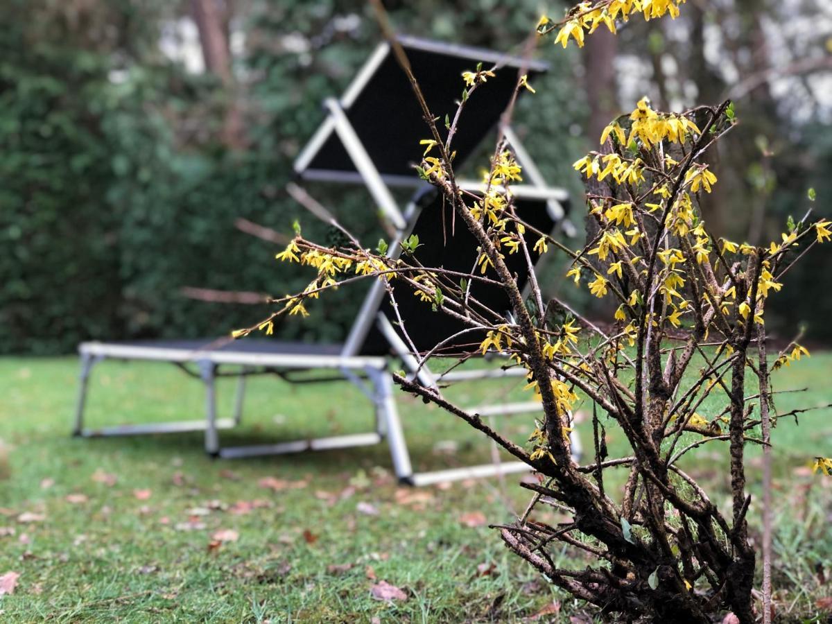 Veluwe Nature Home - 2-4 Persons أوتيرلو المظهر الخارجي الصورة